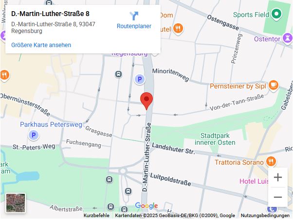 Google Maps anzeigen
